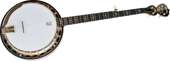 banjo-lessons